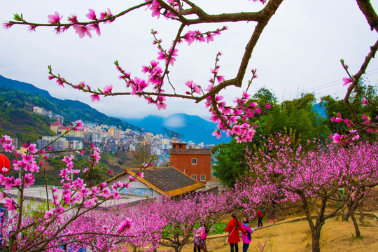 桃花 山城