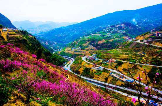 桃花 盘山路