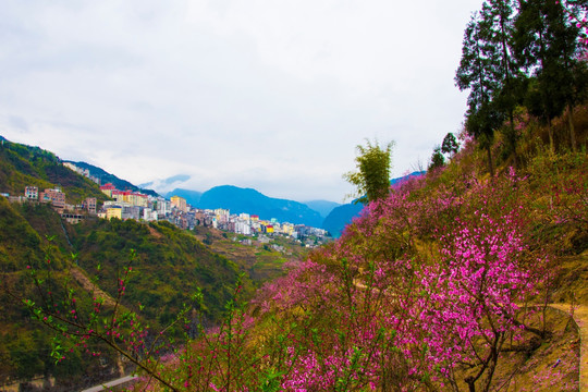 桃花 山城