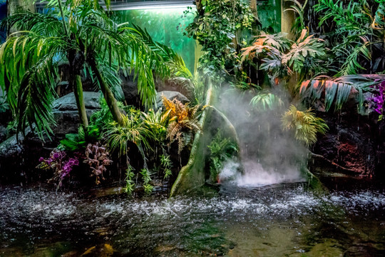 水族馆场景 生态系统模拟