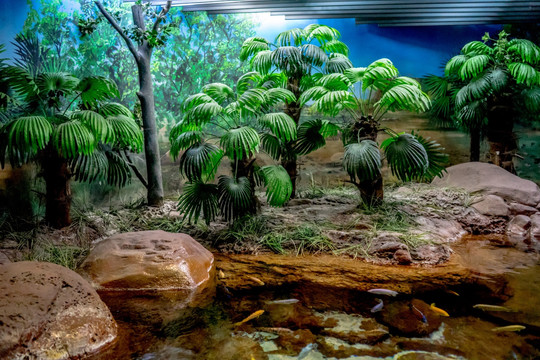 水族馆场景 生态系统模拟