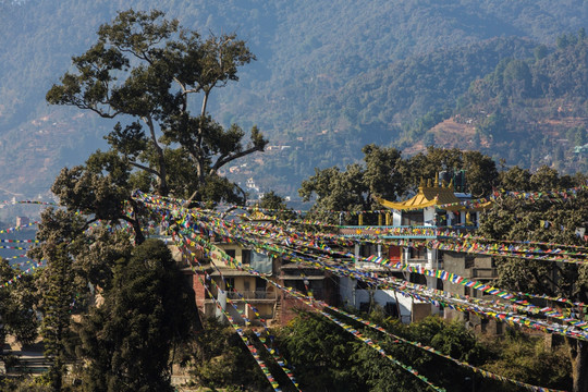 尼泊尔斯瓦杨布纳寺