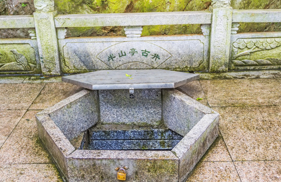 半山亭古井
