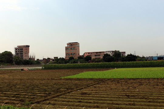 农村
