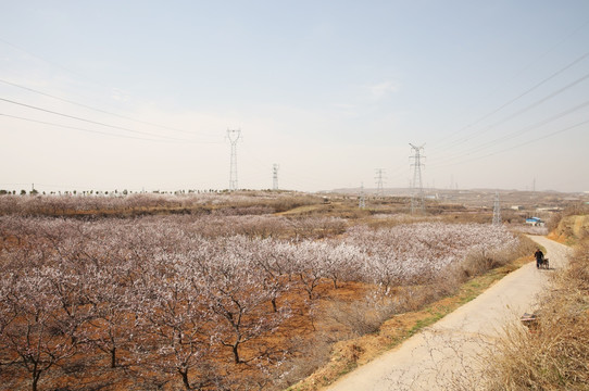 田野高压线塔