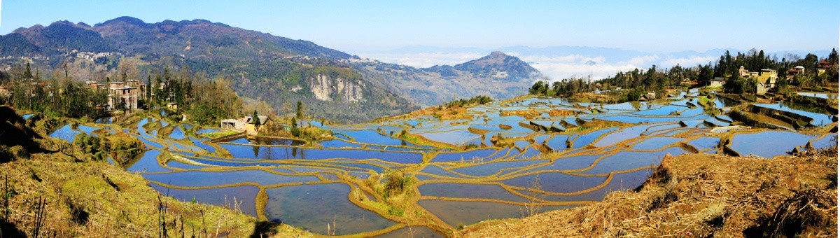 元阳爱春蓝梯田全景