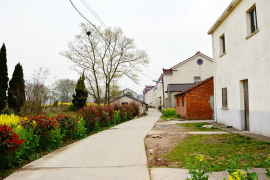 农村小路