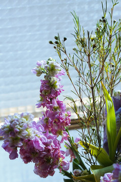 装饰花草 鲜花 花束