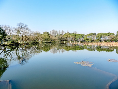 西湖风光 唯美