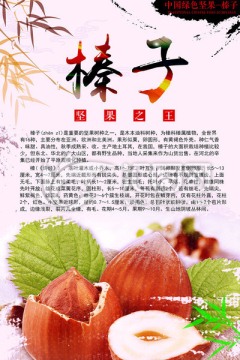 中国风美食海报之榛子