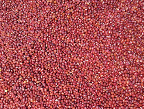 铺满的红豆