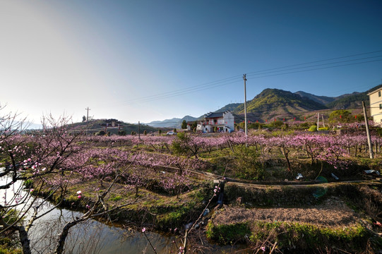 金华源东乡桃花源景区丁村民居