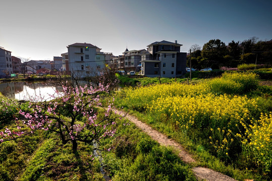 金华源东乡桃花源景区东前施村