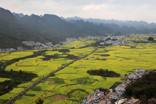 万峰林