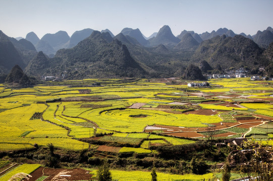 贵州万峰林八卦田