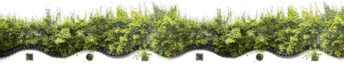 神农草堂园林景观墙和竹林