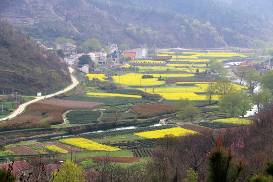 龙传寨风景