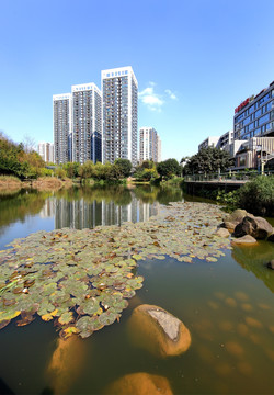 重庆财富中心 湖景高层