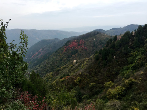 红叶 远山 秦岭 秋色 山峦