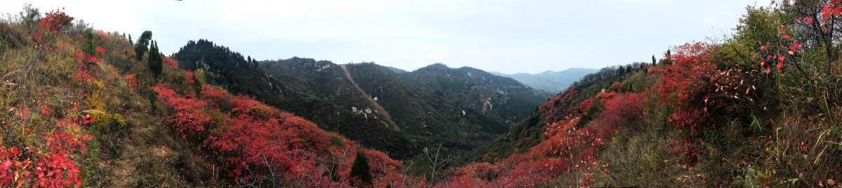 红叶 远山 秦岭 秋色 山峦