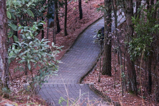 山间小路
