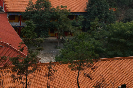 庭院 古代 建筑 历史 房子