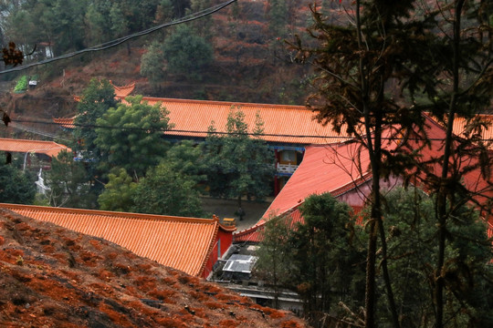古代庭院 红砖绿瓦 房顶