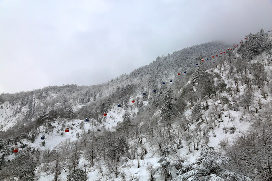 雪景