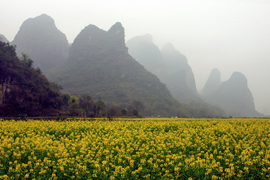 遇龙河 高格