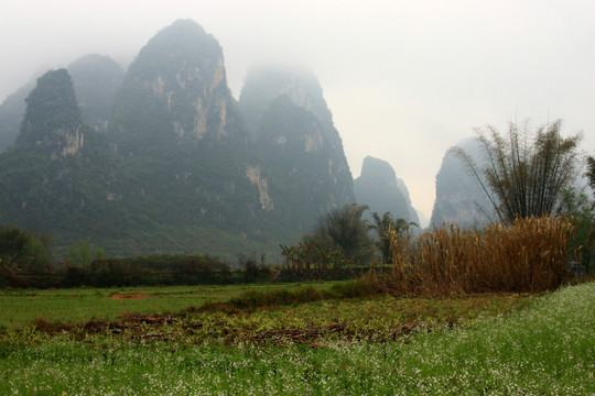 遇龙河自然风光 高格