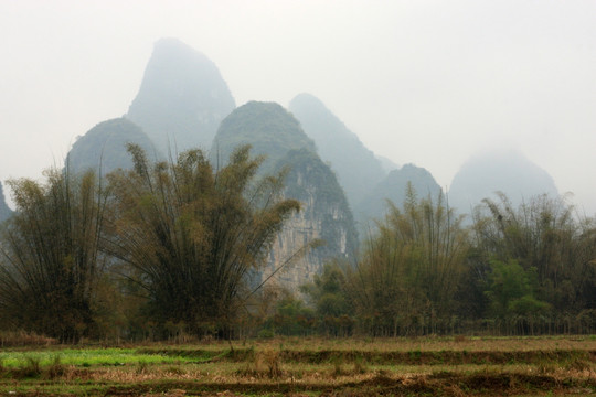 遇龙河风光 高格