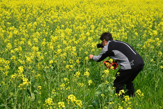 油菜花地里的摄影爱好者