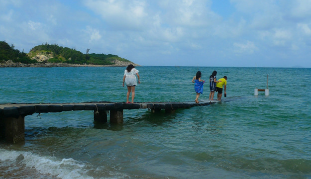 海岛 大树岛 游客