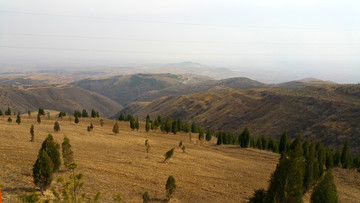 黄土高坡