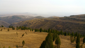 黄土高原