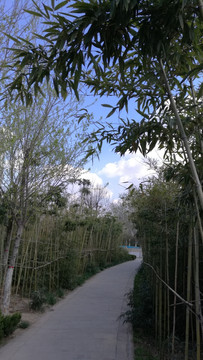 园林景观