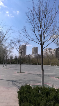 园林景观