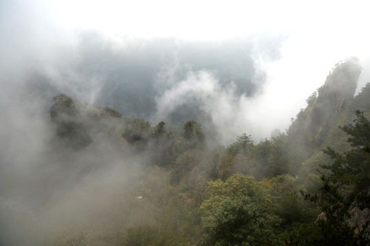 山林晨雾