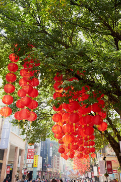 北京路步行街新年树上红灯笼庙会