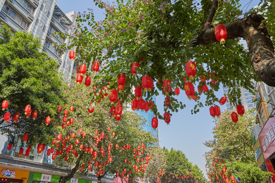 教育路步行街新年树上红灯笼庙会