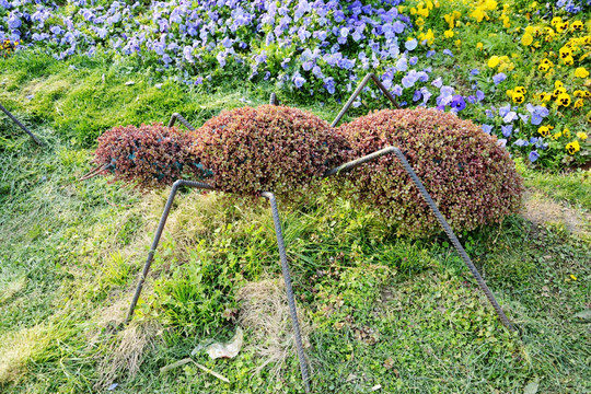 蚂蚁造型园艺
