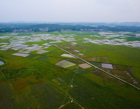 大地 田园风光