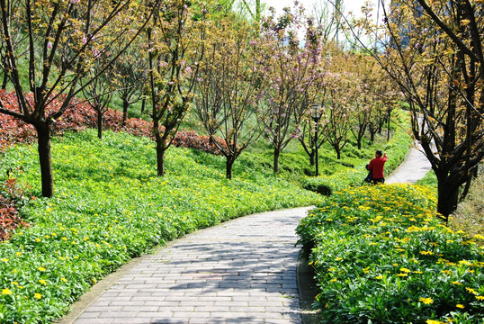 城市花园小道