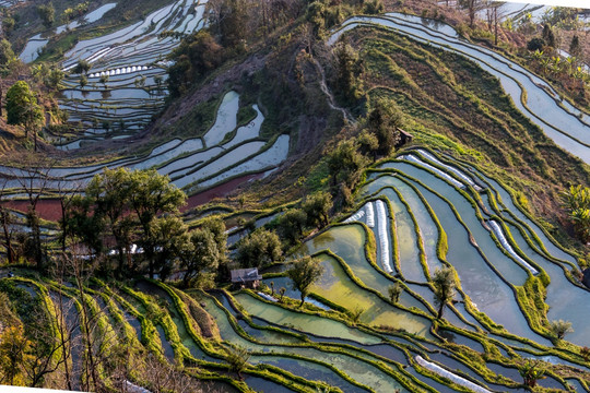 元阳梯田