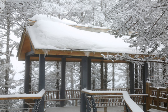 雪景