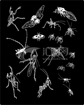 昆虫图案素材AI矢量文件