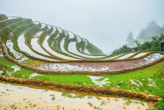 梯田风光