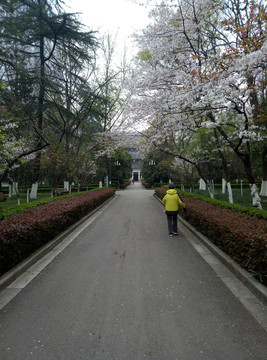 路