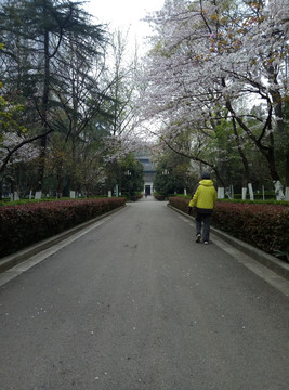 路