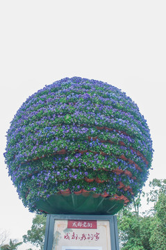 花卉